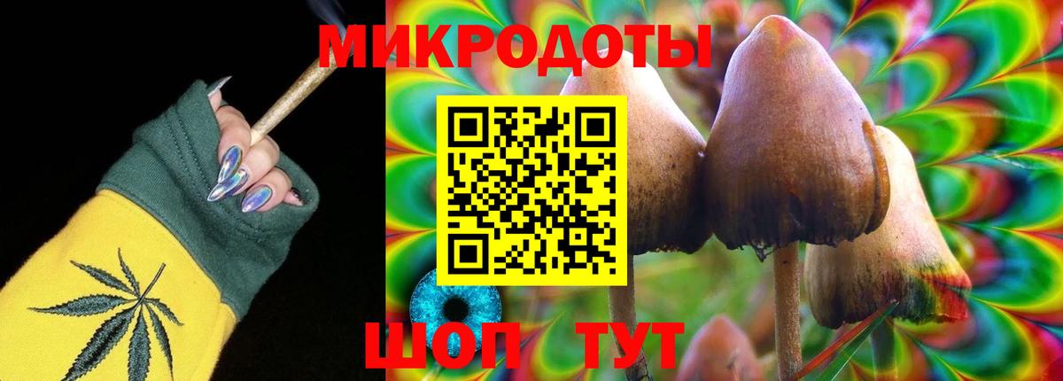 Псилоцибиновые грибы Cubensis  Вход с VPN  Саратов 